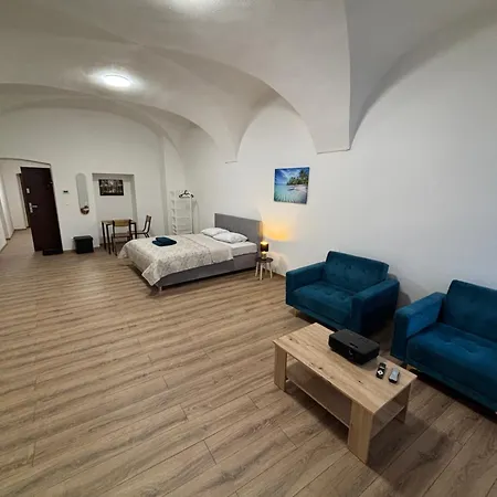 Velky Moderny V Srdci Mesta Apartman *